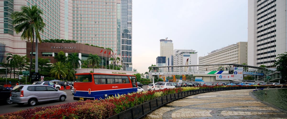 Jakarta showing a city, flowers and a square or plaza