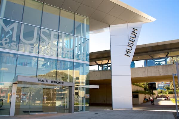 Queensland Museum showing modern architecture
