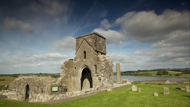 Devenish Island che include giardino, oggetti d\'epoca e lago o sorgente d\'acqua