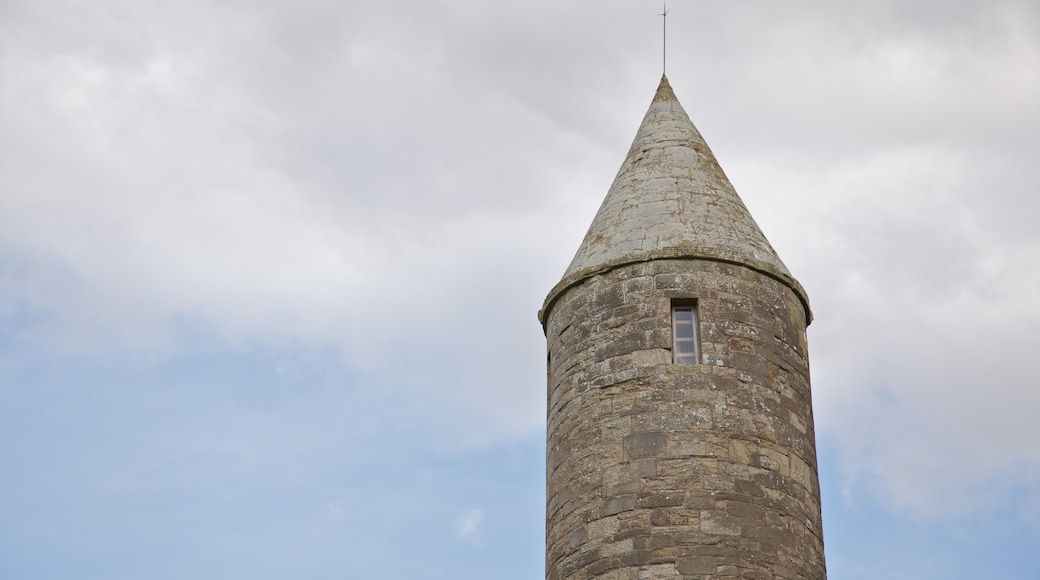 Île de Devenish qui includes patrimoine architectural et patrimoine historique