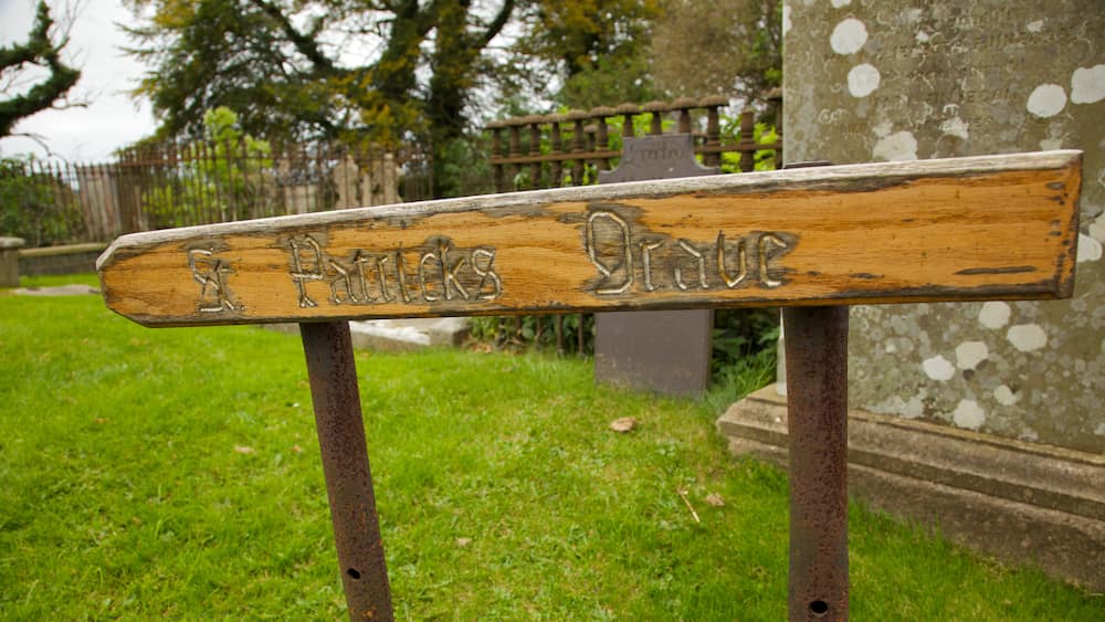 Down Cathedral どの含み 墓地 と 標識