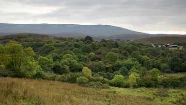Enniskillen featuring tranquil scenes and landscape views