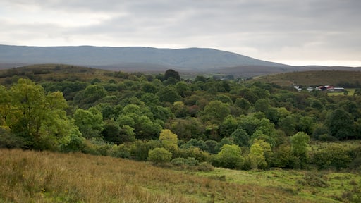 Enniskillen featuring tranquil scenes and landscape views