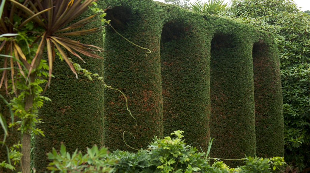 Mount Stewart som viser en park