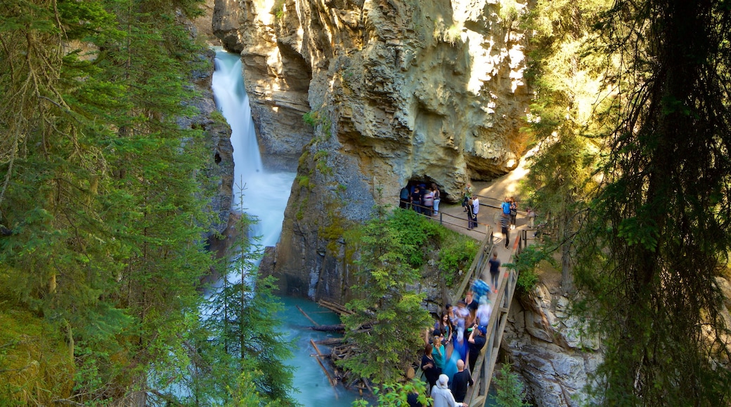 Johnston Canyon che include fiume o ruscello e gola o canyon cosi come un piccolo gruppo di persone