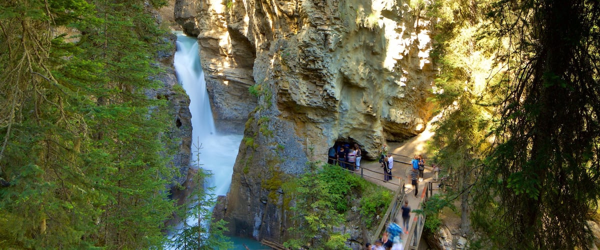 Johnston Canyon que incluye un barranco o cañón y un río o arroyo y también un pequeño grupo de personas