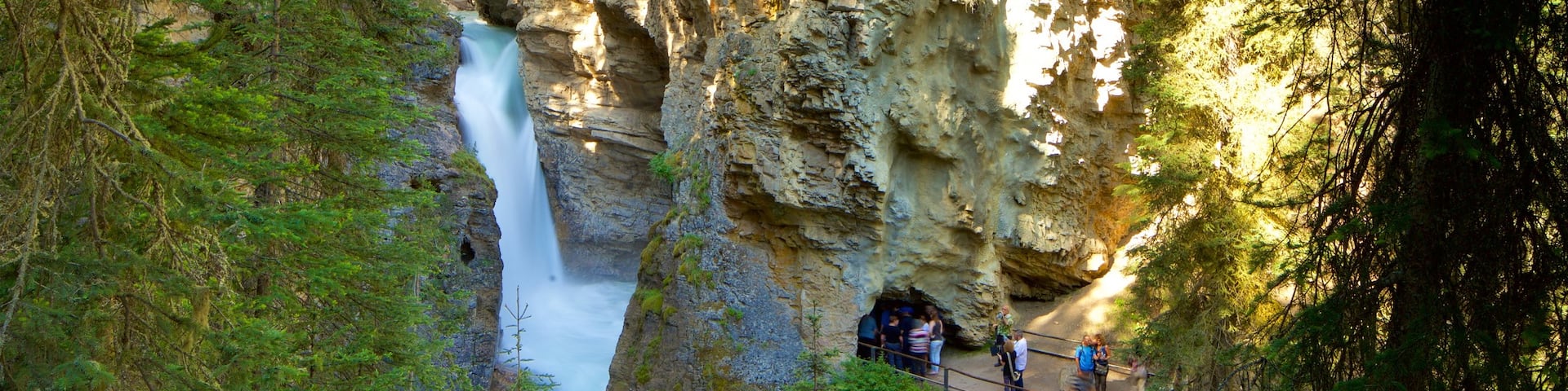 Johnston Canyon showing a gorge or canyon and a river or creek as well as a small group of people