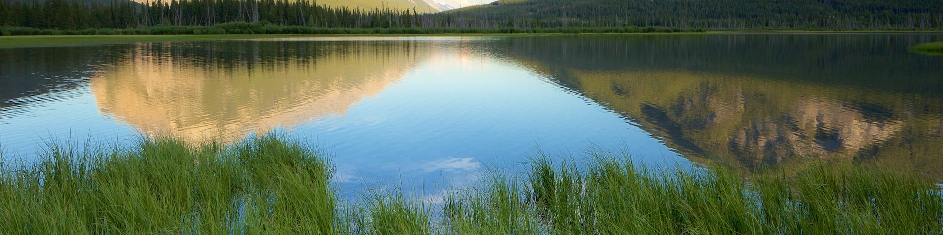 Banff mostrando un lago o abrevadero, humedales y montañas