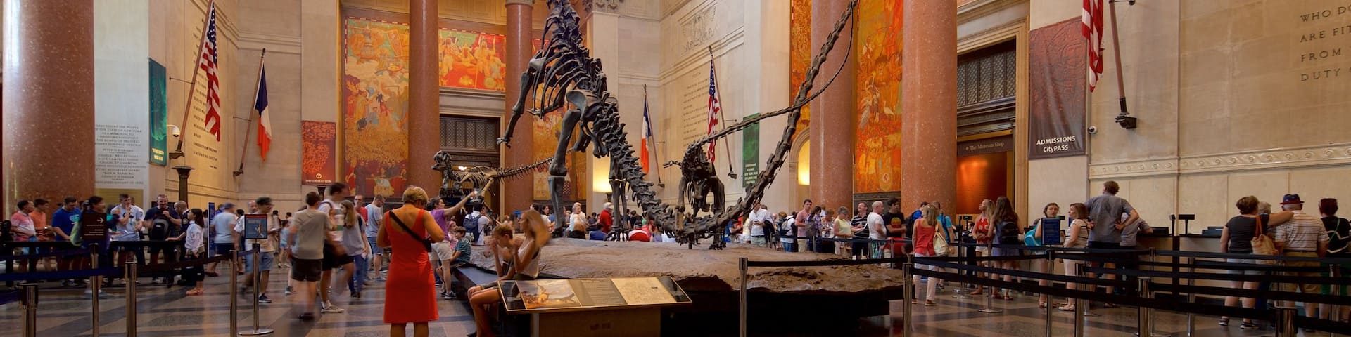 American Museum of Natural History