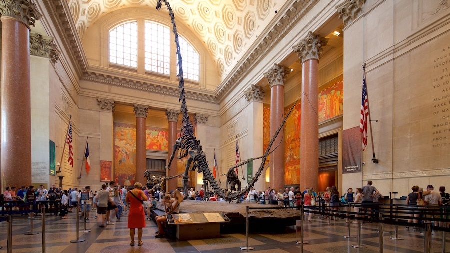 American Museum of Natural History mit einem Geschichtliches und Innenansichten sowie kleine Menschengruppe