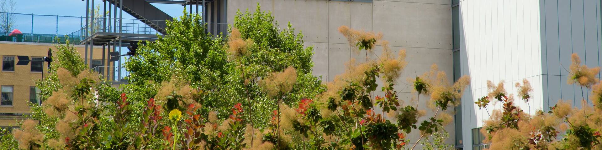 Whitney Museum of American Art