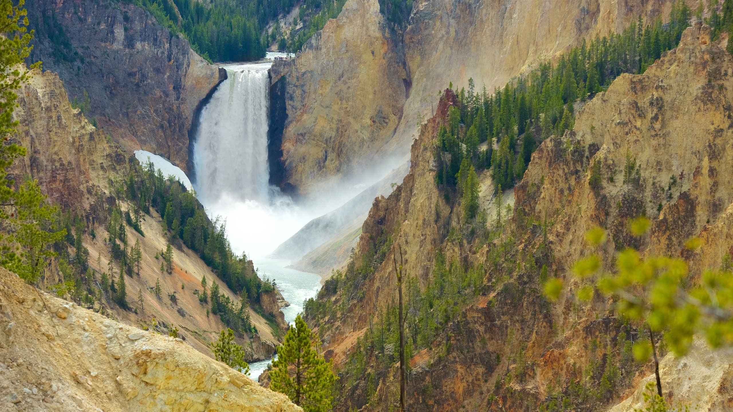 Grand Canyon of Yellowstone welches beinhaltet Wasserfall, Stromschnellen und Schlucht oder Canyon