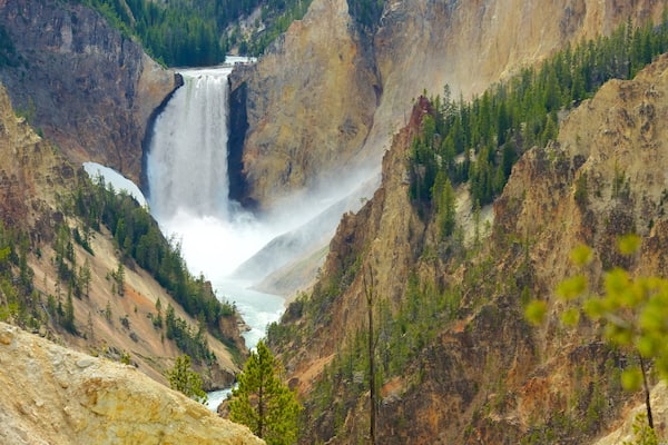Grand Canyon of Yellowstone