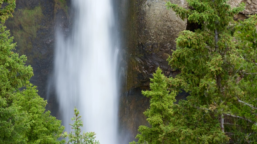 Tower Fall