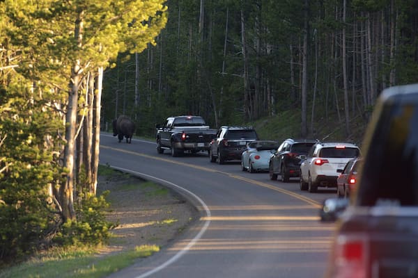 Nordwest-Wyoming mit einem Landtiere und ruhige Szenerie