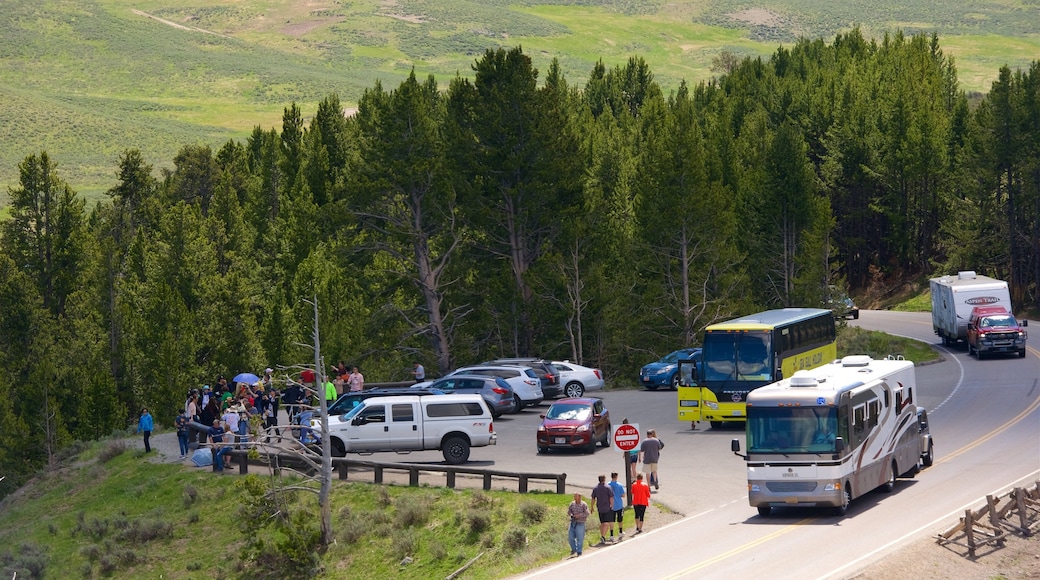 Nord-ouest du Wyoming montrant scènes tranquilles aussi bien que petit groupe de personnes