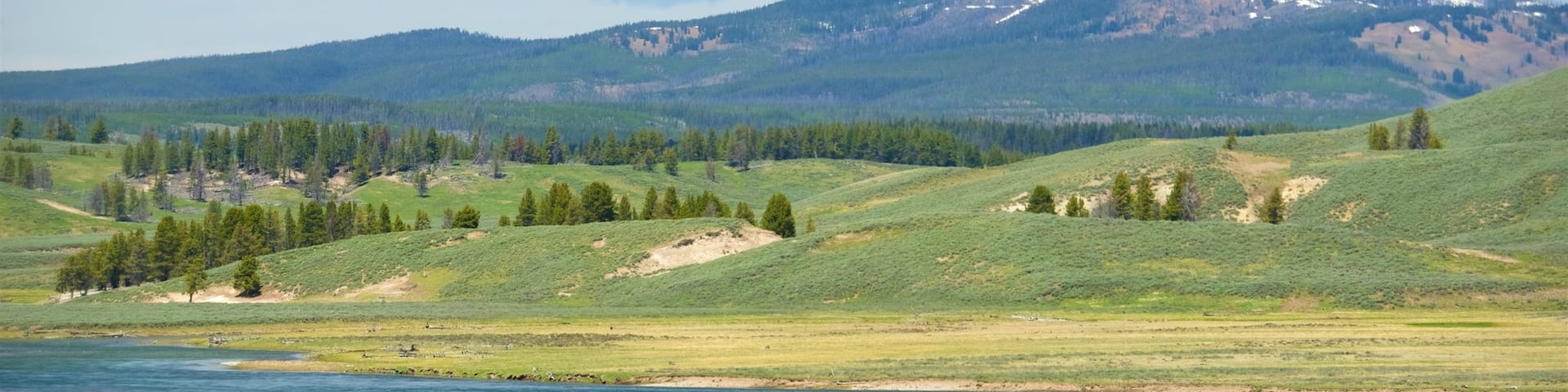 Hayden Valley