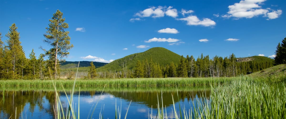 Parque Nacional de Yellowstone
