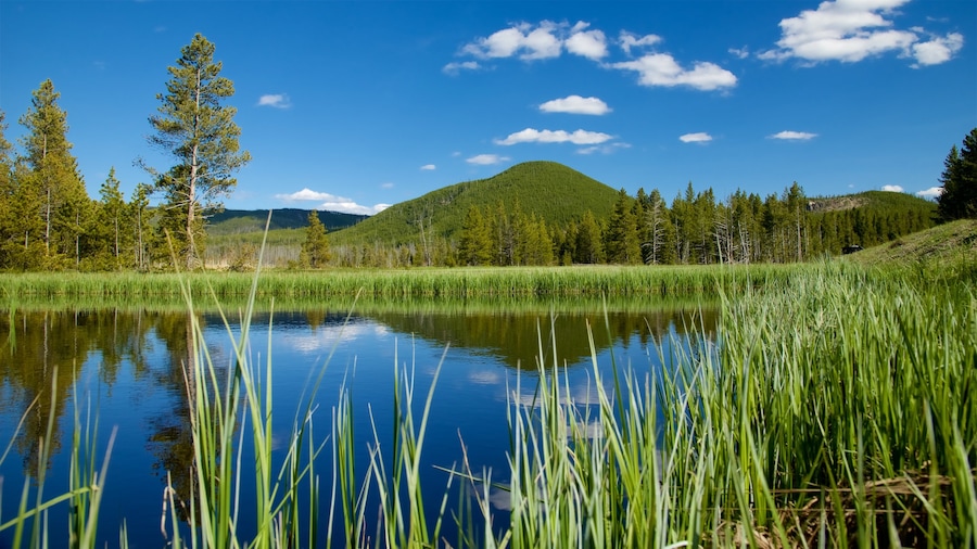 Yellowstone Nationalpark og byder på en dam, vådområde og fredfyldte omgivelser