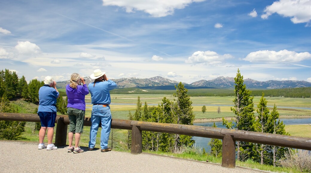 Hayden Valley featuring views and tranquil scenes as well as a small group of people