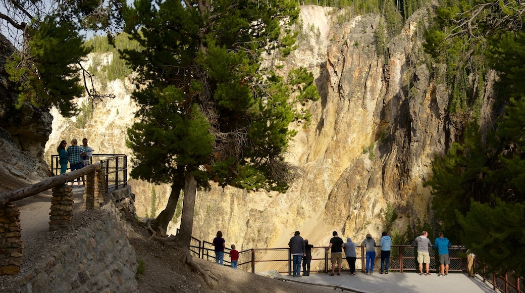 Grand Canyon of Yellowstone caratteristiche di vista e gola o canyon cosi come un piccolo gruppo di persone