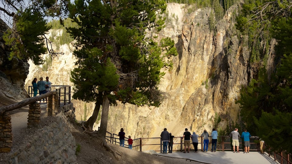 Grand Canyon i Yellowstone som viser en kløft eller slugt og udsigt såvel som en lille gruppe mennesker