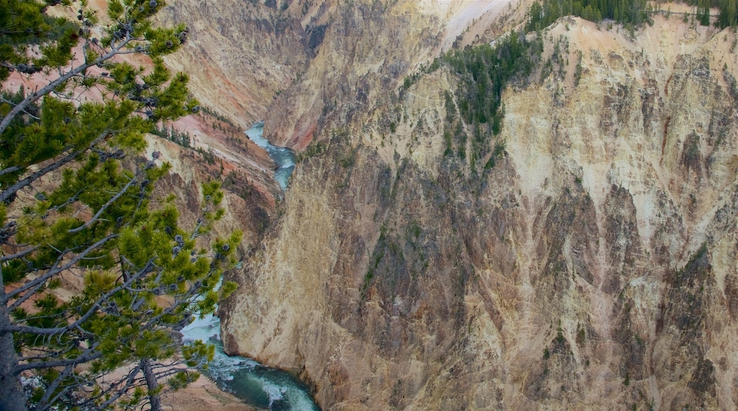 Gran cañón de Yellowstone