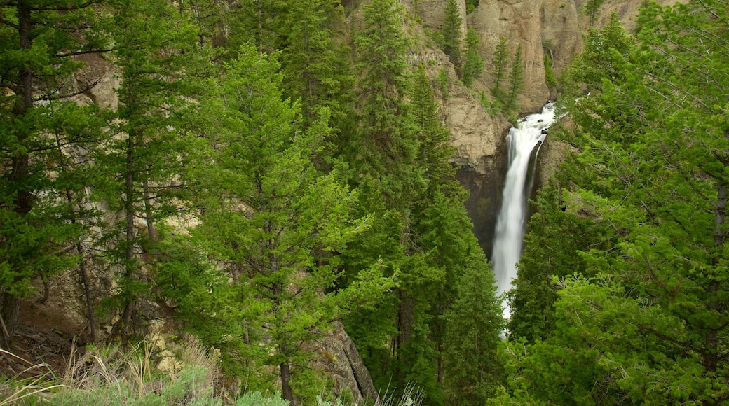 Tower Fall showing a waterfall