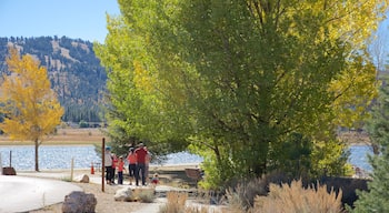 Big Bear Lake which includes a lake or waterhole and a park as well as a family