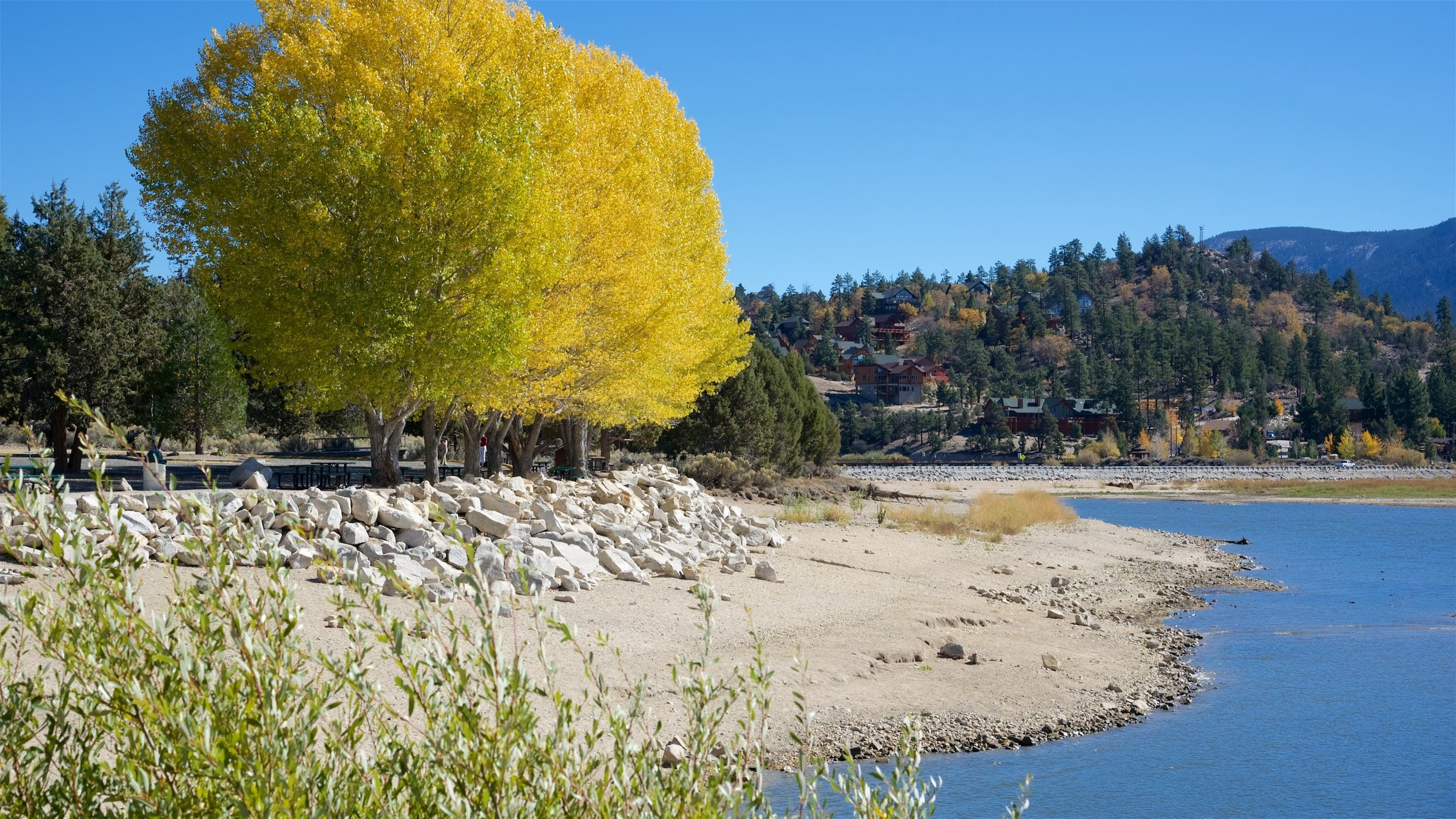 Big Bear Lake Ii 