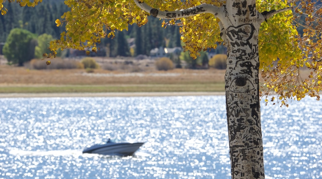 Big Bear Lake mostrando lago o sorgente d\'acqua, giro in barca e foglie d\'autunno