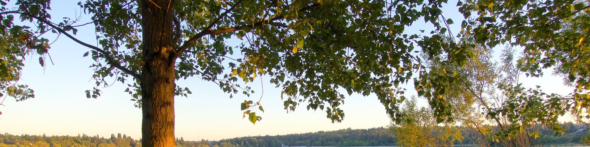 Green Lake Park