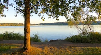 Parque de Green Lake