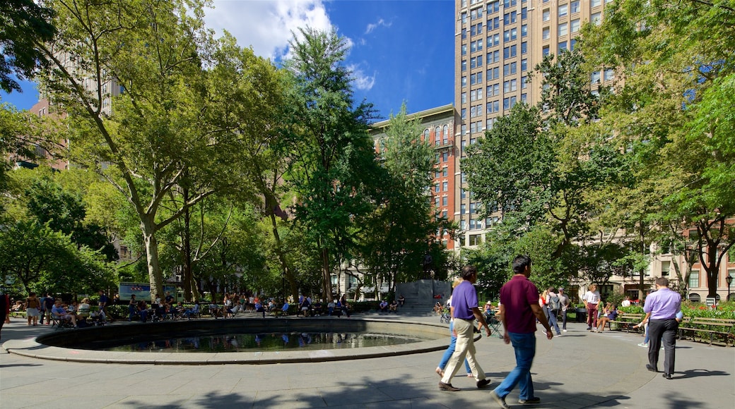 Madison Square Park mettant en vedette jardin, mare et ville