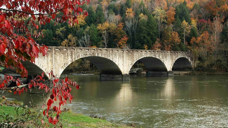Cumberland Falls bevat bos, een brug en een rivier of beek