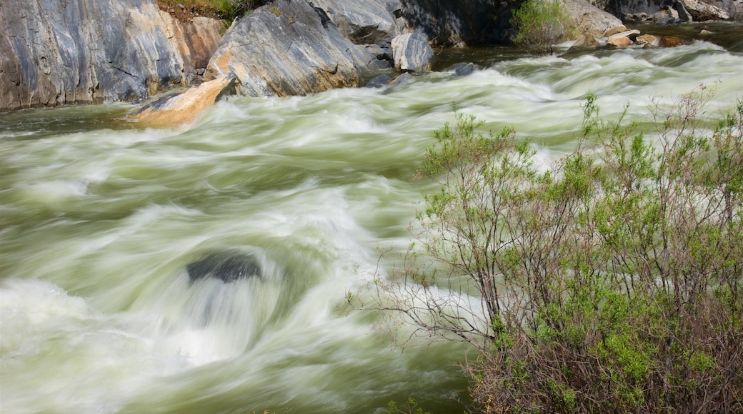 Kings Canyon National Park som inkluderar forsar