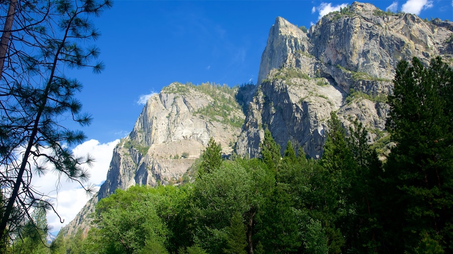Kings Canyon National Park