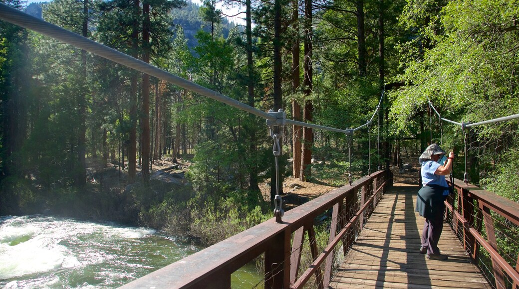 Parque Nacional de Kings Canyon mostrando uma ponte, um rio ou córrego e florestas