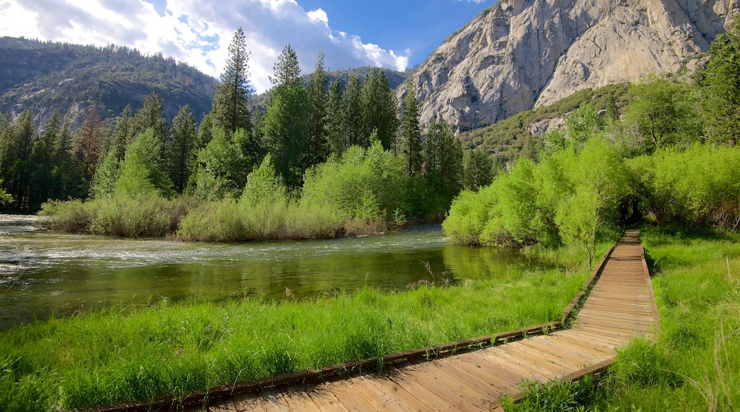 Kings Canyon National Park featuring wetlands, tranquil scenes and mountains