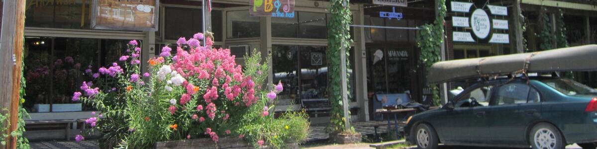 Makanda welches beinhaltet Blumen