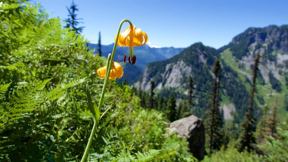 Snoqualmie Pass