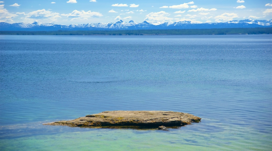 West Thumb showing rugged coastline and general coastal views