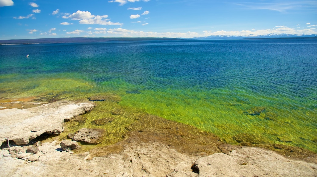 West Thumb welches beinhaltet Felsküste und allgemeine Küstenansicht