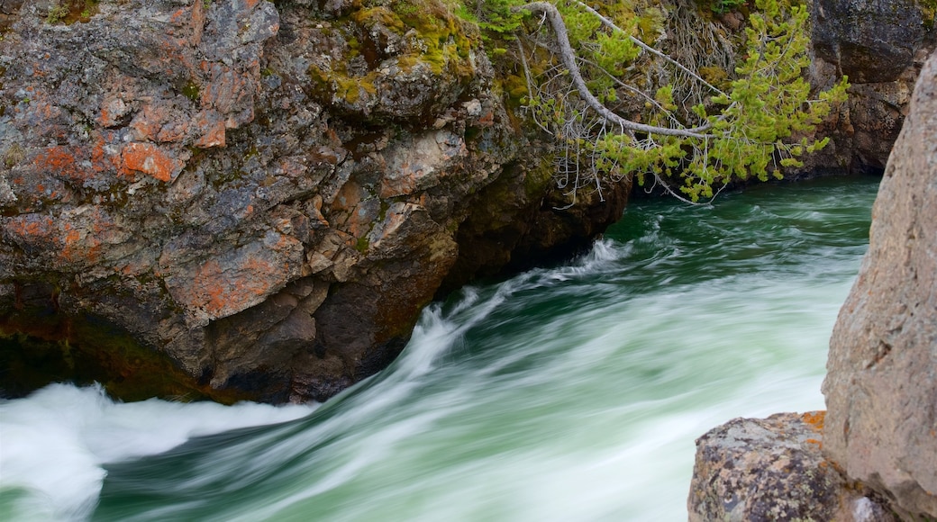 Gran cañón de Yellowstone