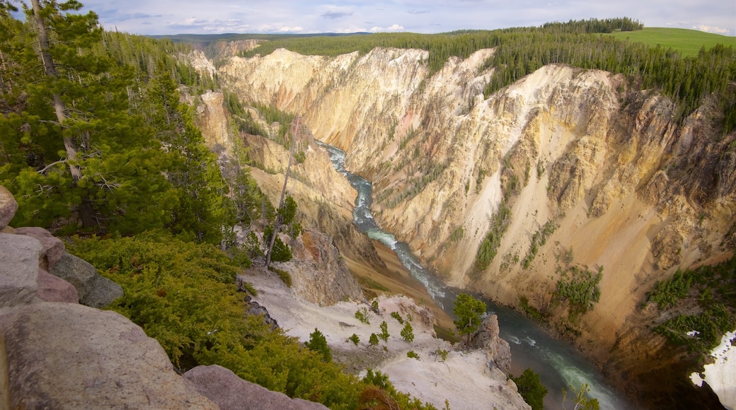 Grand Canyon of Yellowstone welches beinhaltet ruhige Szenerie, Fluss oder Bach und Schlucht oder Canyon