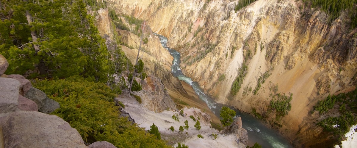 Grand Canyon of Yellowstone