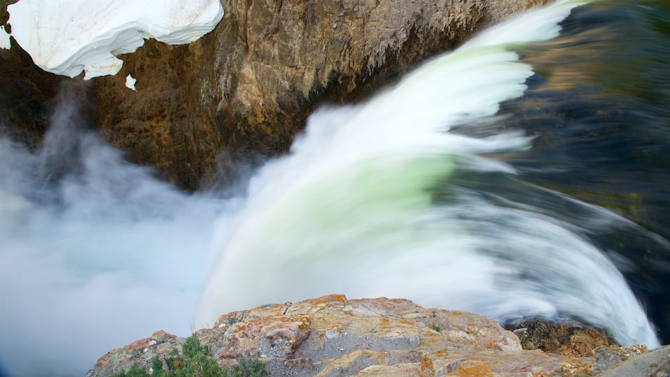 Grand Canyon i Yellowstone som viser et vandfald