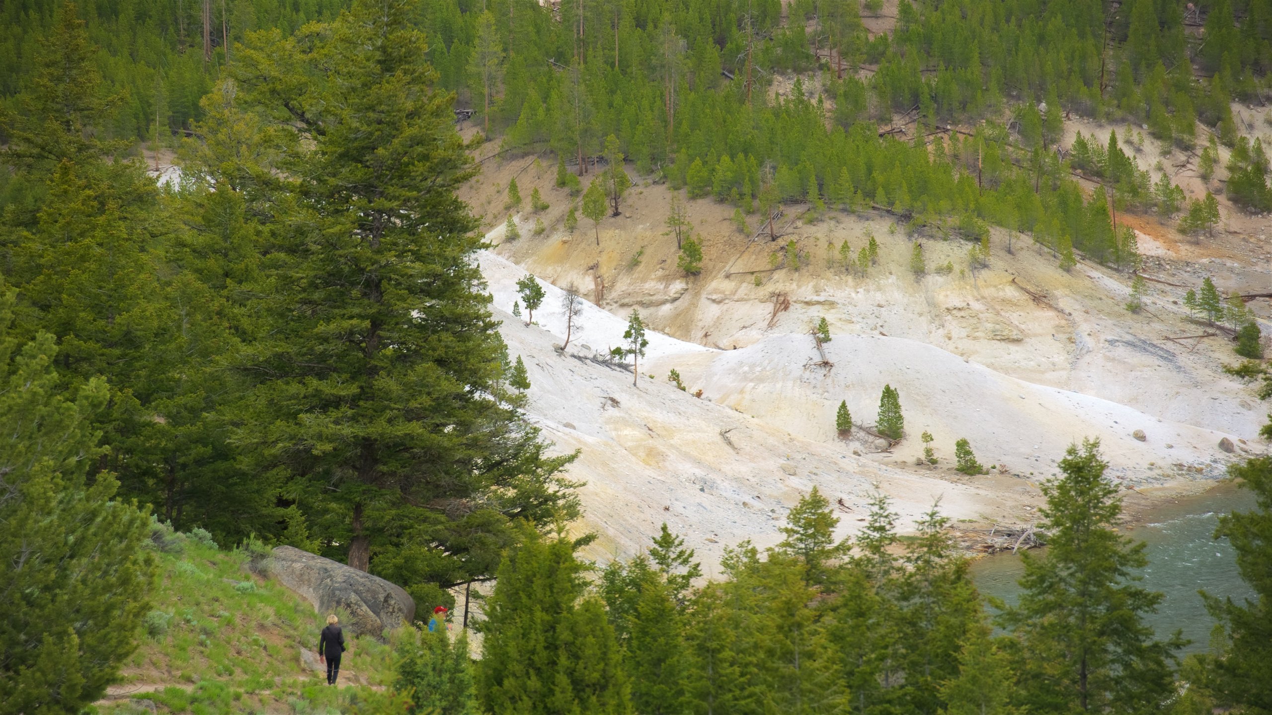 Tower Junction Travel Guide: Best of Tower Junction, Yellowstone National Park Travel 2024 