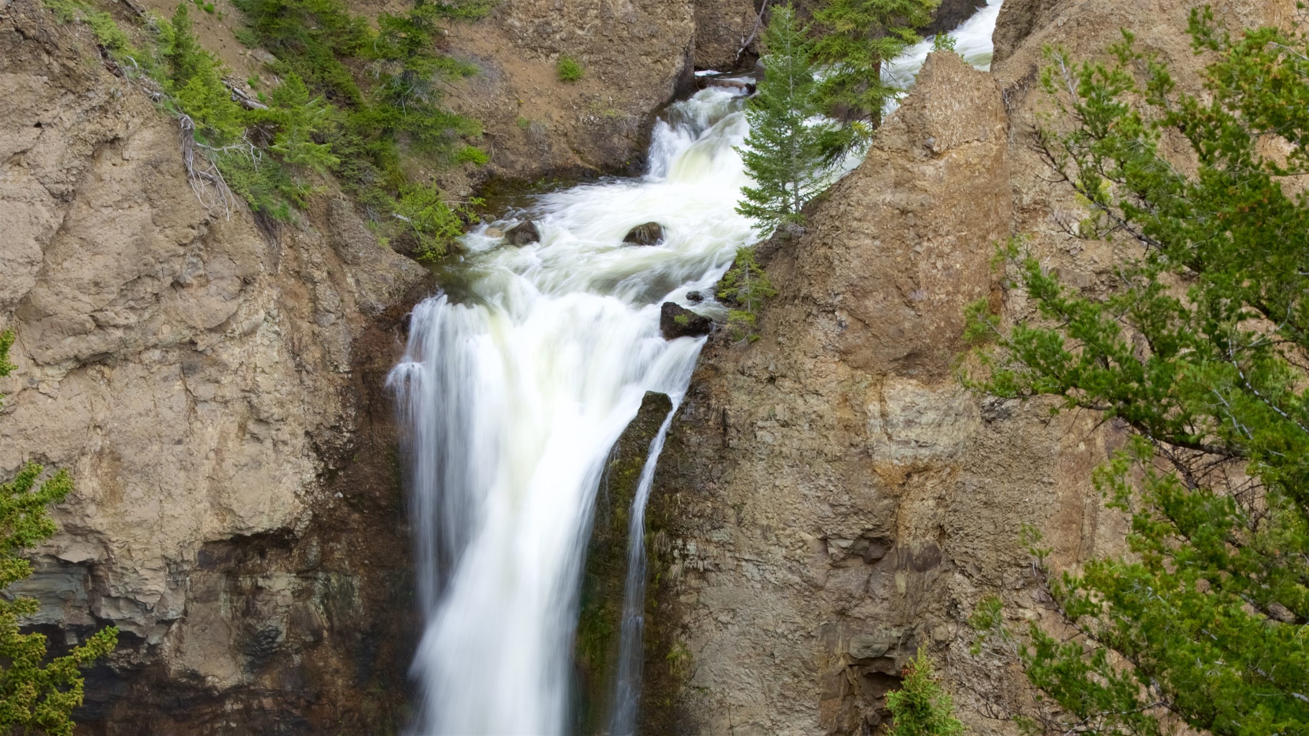 Visit Tower Junction: 2024 Travel Guide for Tower Junction, Yellowstone National Park  Expedia