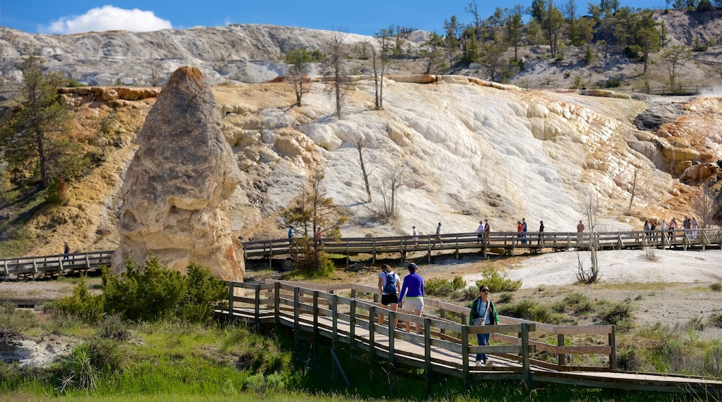 Mammoth Hot Springs